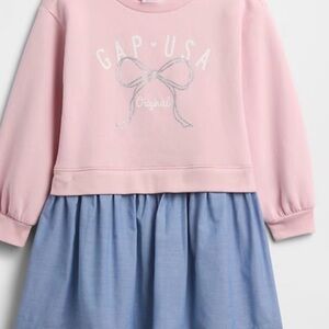 NWT GAP Kids Sweatshirt Dress Pink Top and Blue Skirt, size 2T